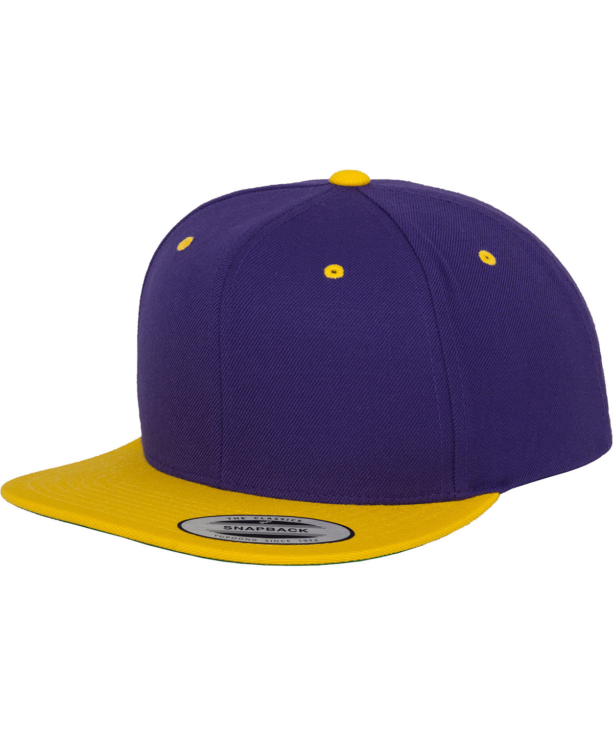 The classic snapback 2-tone (6089MT)